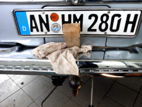 Anbauversuch Januar 2013